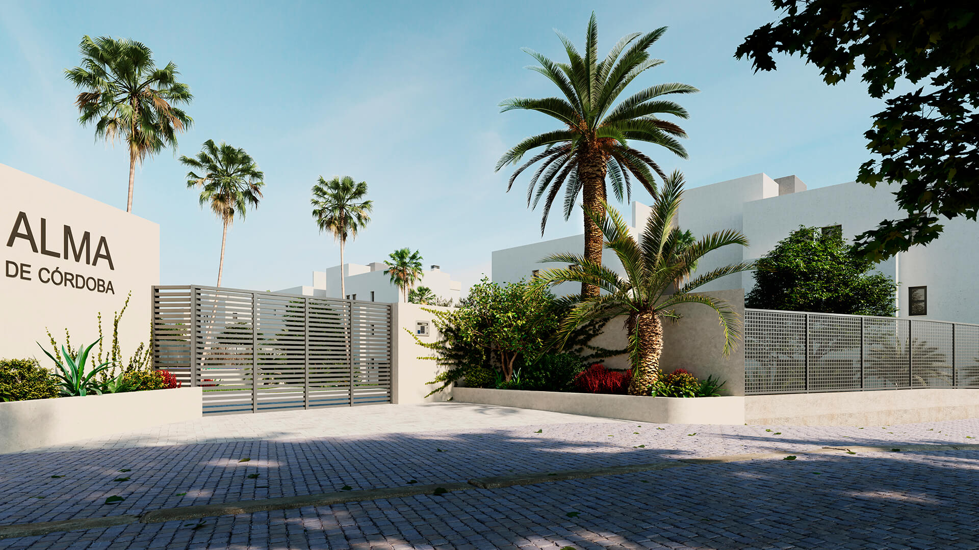 Alma de Córdoba, Level