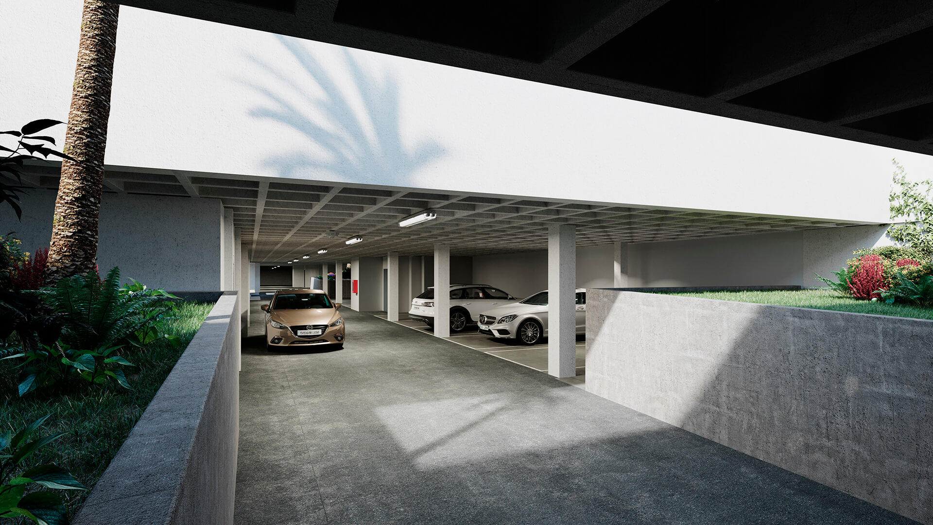 Alma de Córdoba, Level